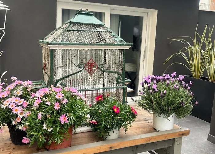 Bed and Breakfast Monti Suites&aparts