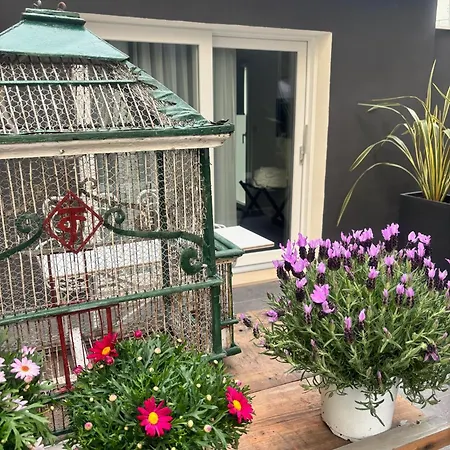 Monti Suites&aparts Panzió Cesenatico