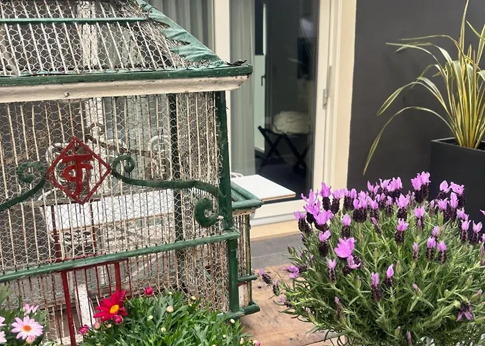 Monti Suites&aparts Bed & Breakfast Cesenatico